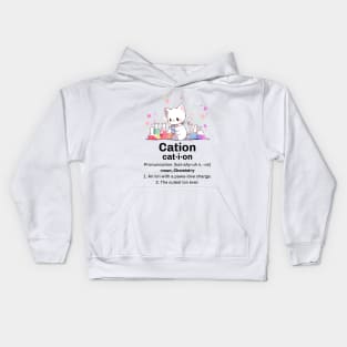 Chemistry Cat Cation Kids Hoodie